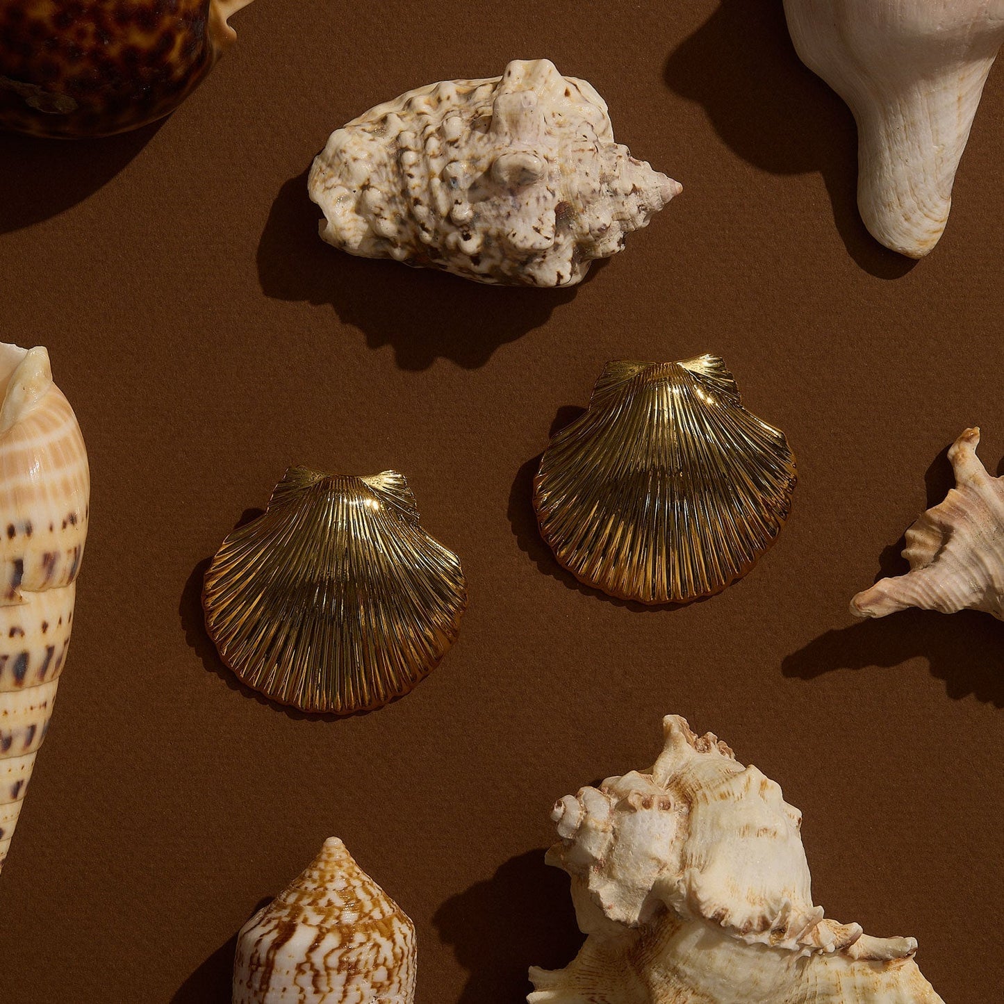 Anisah Shell Studs